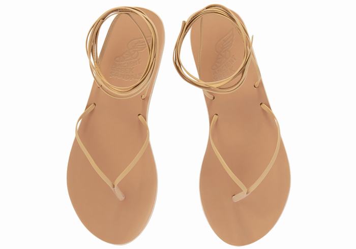 Sandales De Gladiateur Ancient Greek Sandals Celia   | SBU-6539295